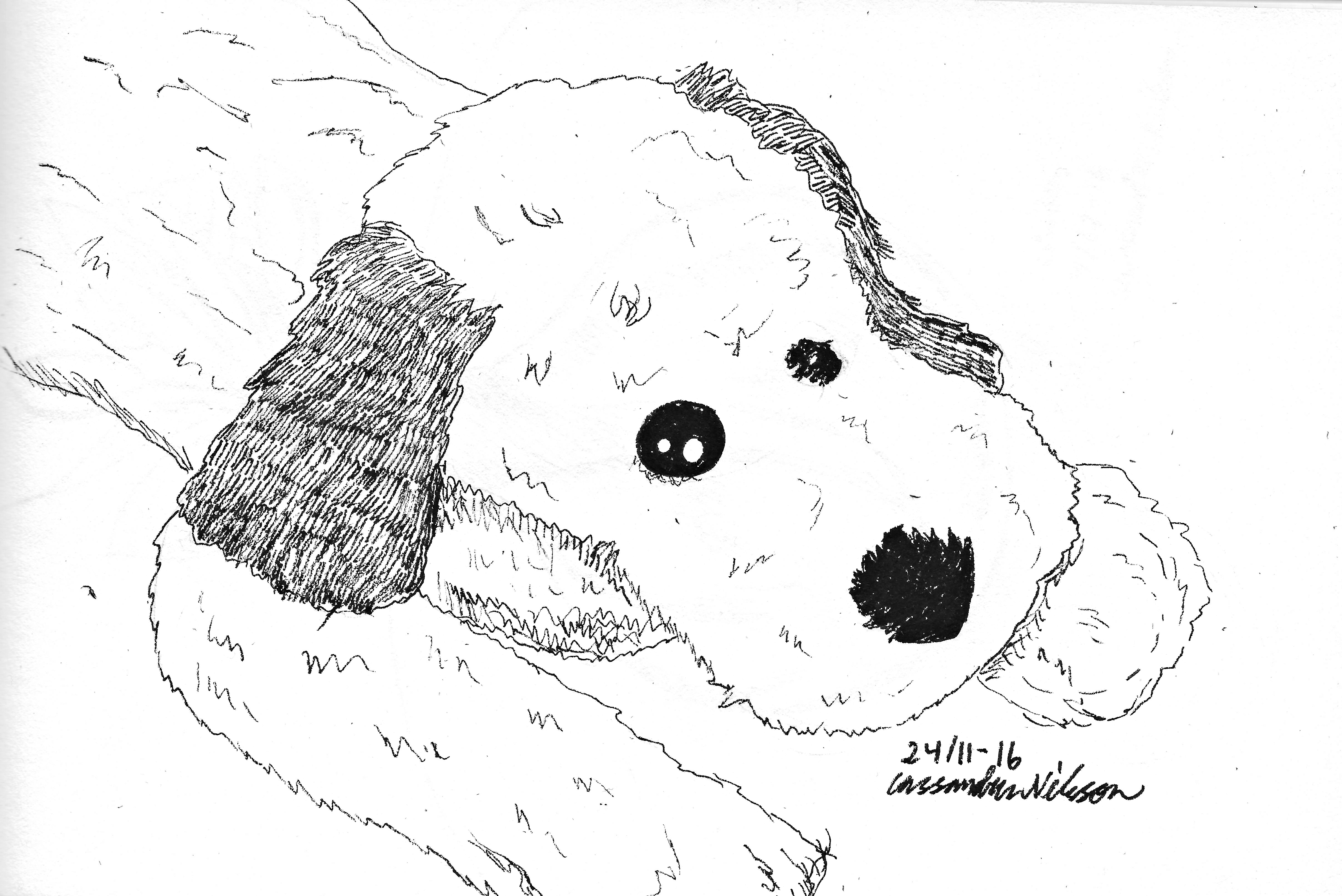 Drawing: Stuffed animal - Creating My Own Reality